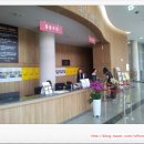 강동석과 화음챔버의 비발디 사계 이미지