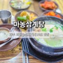 당구이야기 서귀본점 | 제주 중복 보양식 추천! 서귀포삼계탕맛집 마농삼계탕 방문 후기