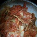 살콩씨 후기 이유식(한우+김치+달걀)소고기 먹이기 프로젝트