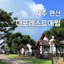 숲속마을독채펜션 | 제주도 숲속 프라이빗한 독채펜션 더포레스트애월 숙박후기