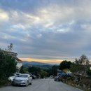 풍차랑 허브랑 이미지