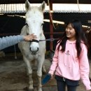 계촌중학교 이미지