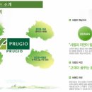 강남-041 Daum카페