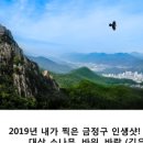 금정-9 이미지