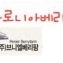 법인브니엘베리팜