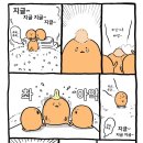 고로케 머리 다시 튀겨주는거 너무 귀여워 이미지