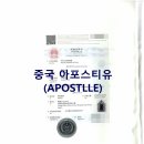 중국공증처 이미지