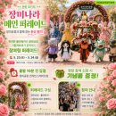 향연 | 천만 송이 장미의 향연, 2026 삼척 장미축제 일요일 방문 생생 후기 부모님과 삼척여행