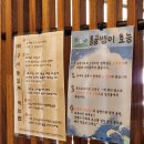 부산뼈구이 동백본가 부산시청점 뼈구이덮밥