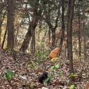 인천대공원(거수골) 이미지