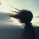 바람이분다