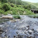 몽지리 캠핑장 이미지