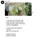 내가 보려고 적는 영상 업체 정리