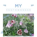 협화경로당 이미지