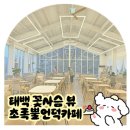 철준사슴목장 2 | 태백 초록뿔언덕카페 | 사슴농장 꽃사슴뷰 아이랑 가기좋은 카페