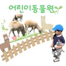 서울대공원 어린이동물원 코끼리열차타고 돗자리자리 펴고 나들이