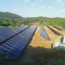 넝쿨 태양광발전소 이미지