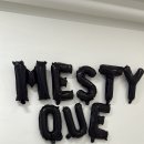 메스티 이미지