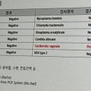 김지수산부인과의원 | [부산/동래] 서울삼성산부인과의원 여성 질염