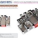 노르웨이숲 이미지