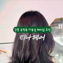 티나 헤어 이미지
