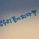 피서플라이 이미지