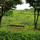 구리왕숙체육공원 이미지