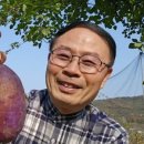 김동식스튜디오 이미지