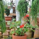 월평3호 이미지