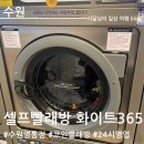 세탁기 사용 못 할 때 영통 24시 셀프빨래방 화이트365 수원영통점 방문 후기