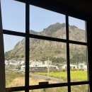 제주 산방산 카페 [오라디오라]