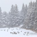 우현목장 이미지