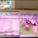초원알프스한우 이미지