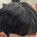 꽃미용실 이미지