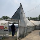 신천자연 낚시터 이미지