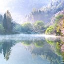 세량제 이미지