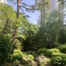 5월 셋째주
