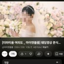 🌼본식DVD 마이엔블룸 계약후기, 추천 이유🌼