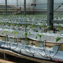 유리농장 이미지