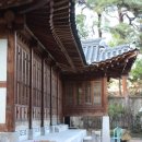 유황돼지 이미지