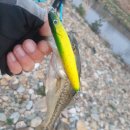 청도천7 이미지