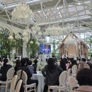 건영빌딩 | 건영이의 결혼식 이야기 👰‍♀️✨️🕊🤍