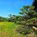 스톤게이트C.C 이미지