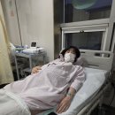 오로지몽 강아지유치원 | 제왕절개 출산 후기 / 드디어 이플이 지구별 도착하는 날