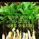 종로3가역(5) 이미지