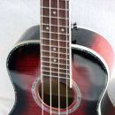 우쿨렐레 악기 연주 이미지