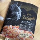 레오나르도 | [고양이사료] 레오나르도 순수생육 연어 후기 추천