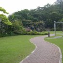 숲속의향기 이미지