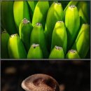 사계절한의원 이미지