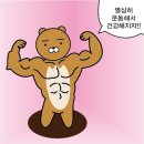 팔팔스포츠 이미지